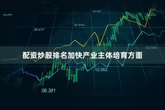 配资炒股排名　　加快产业主体培育方面