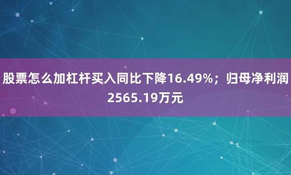 股票怎么加杠杆买入同比下降16.49%；归母净利润2565.19万元