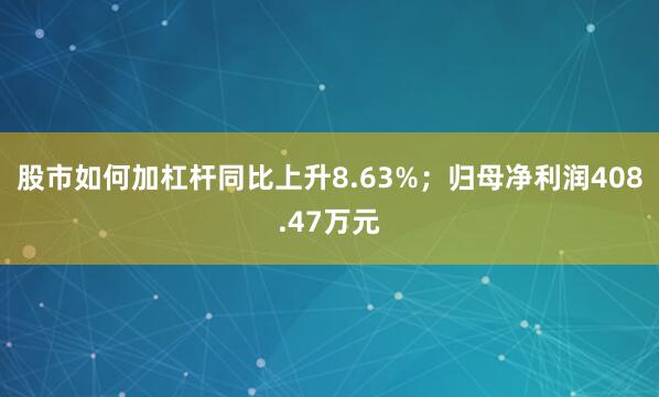 股市如何加杠杆同比上升8.63%；归母净利润408.47万元