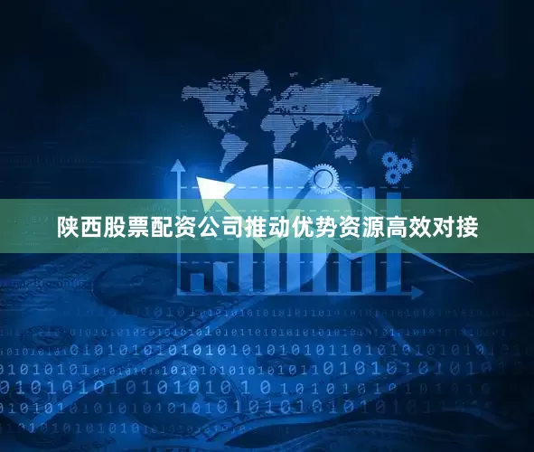 陕西股票配资公司推动优势资源高效对接