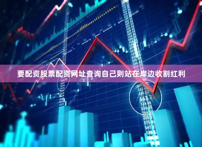 要配资股票配资网址查询自己则站在岸边收割红利